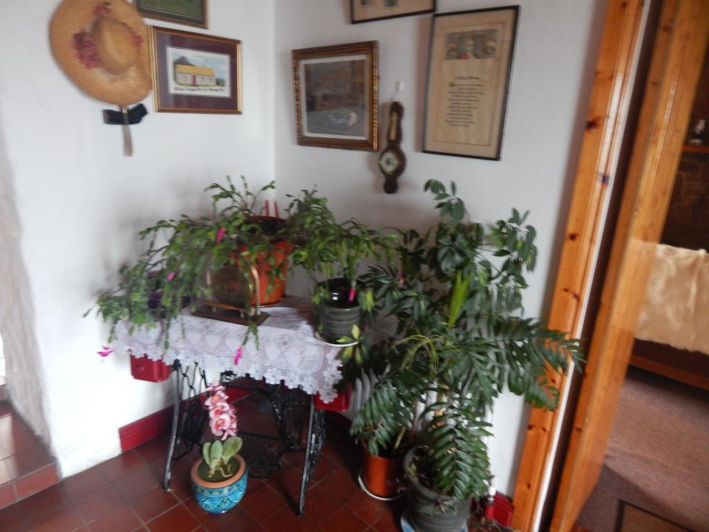 The Olde Castle B&B Renvyle Εξωτερικό φωτογραφία